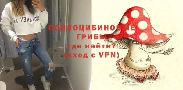 mdpv Верея